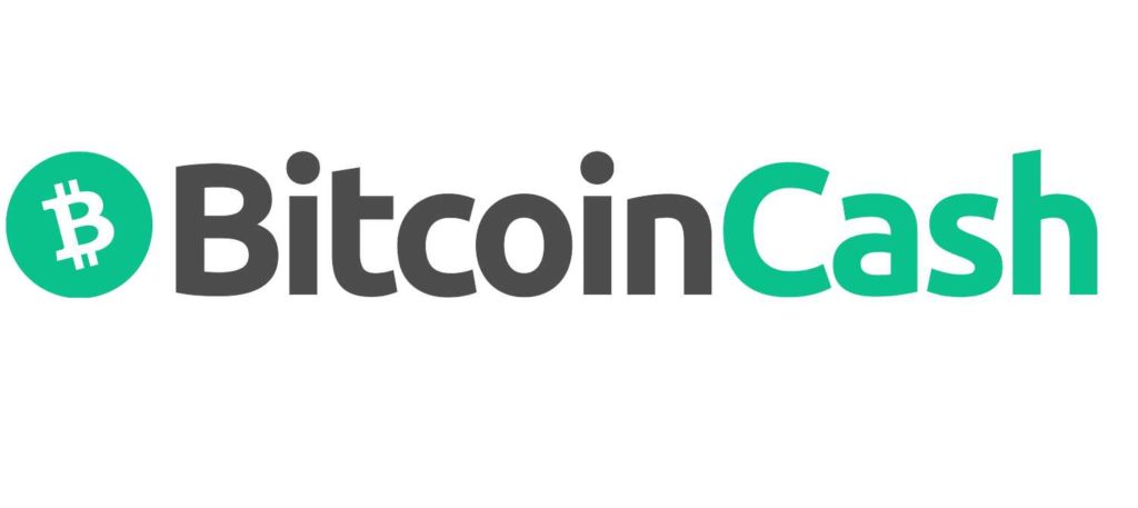 Bitcoin Cash (BCH) Does Everything Elon is Looking for –