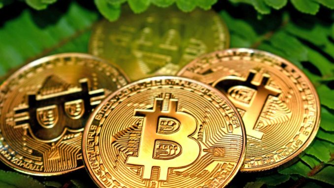 Bitcoin (BTC) is Digital Property - Michael Saylor