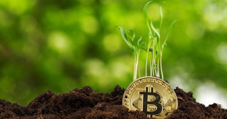 Investors Need to Accept the Trajectory and Level of Volatility