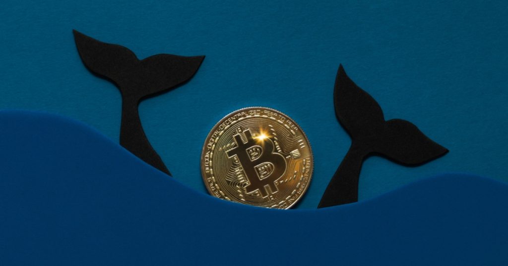 ‘Millionaire’ Bitcoin Whales Accumulates Extra 90,000 BTC
