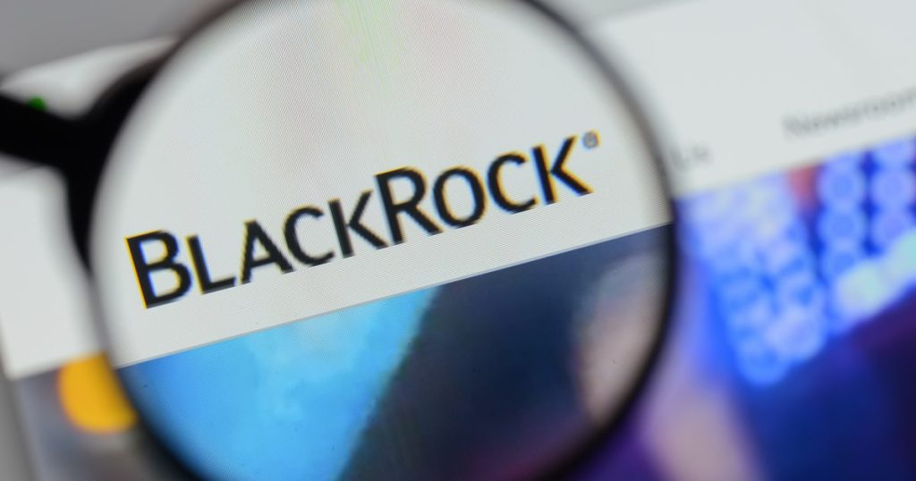 Blackrock CEO Says Low Bitcoin Demand from their Clients