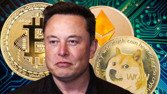 Elon Musk Reveals Spacex Owns Bitcoin, He Personally Owns BTC,