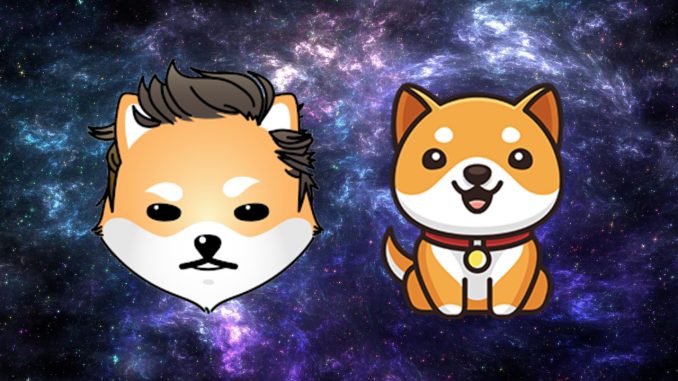 As DOGE, SHIB Markets Fall Back, Baby Doge Coin and