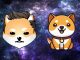 As DOGE, SHIB Markets Fall Back, Baby Doge Coin and