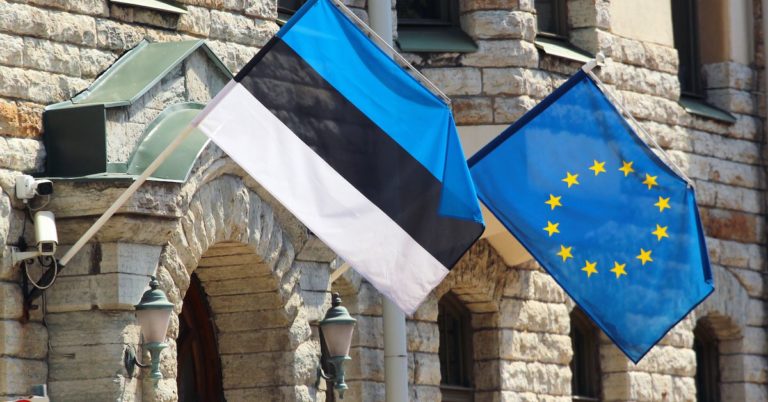 Estonia’s New Anti-Money Laundering Chief Wants to Revoke All Crypto