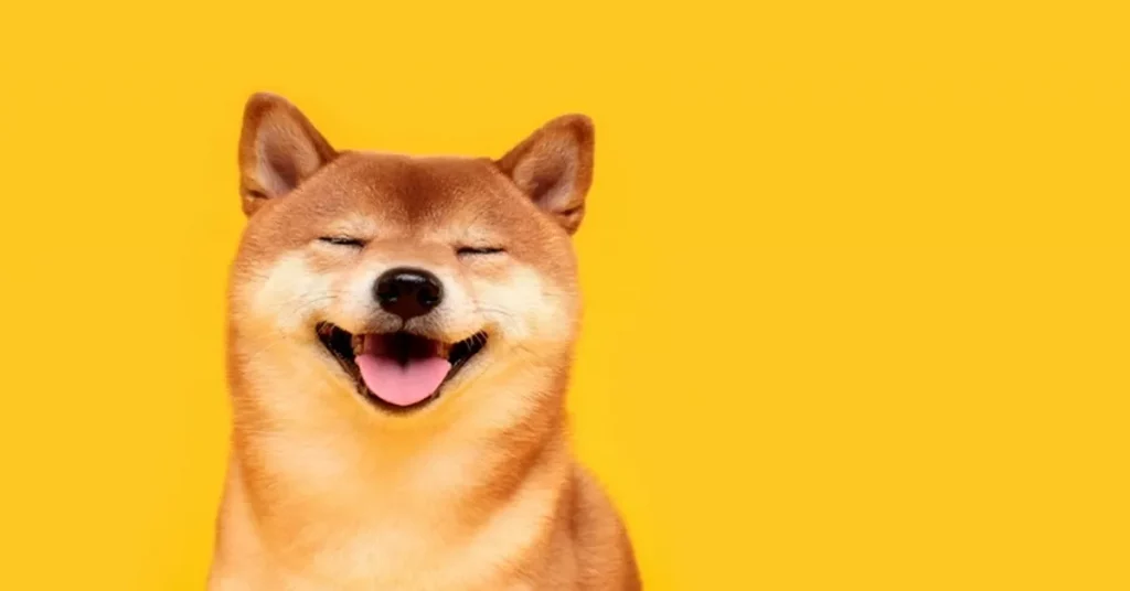 Shiba Inu Hits Record High as Bitcoin Eyes Weekly Price