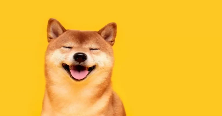 Shiba Inu Hits Record High as Bitcoin Eyes Weekly Price