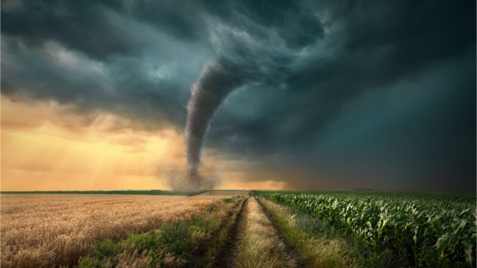 Privacy-Centric Crypto Mixing Protocol Tornado.cash Plans to Deploy on L2