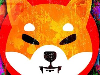 Shiba-Inu-vs-Doge.jpg