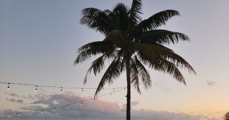 Bahamas to Allow Citizens to Pay Taxes With Digital Assets