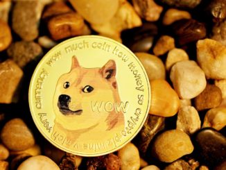 Elon Tweets Video Explaining Everything About Dogecoin