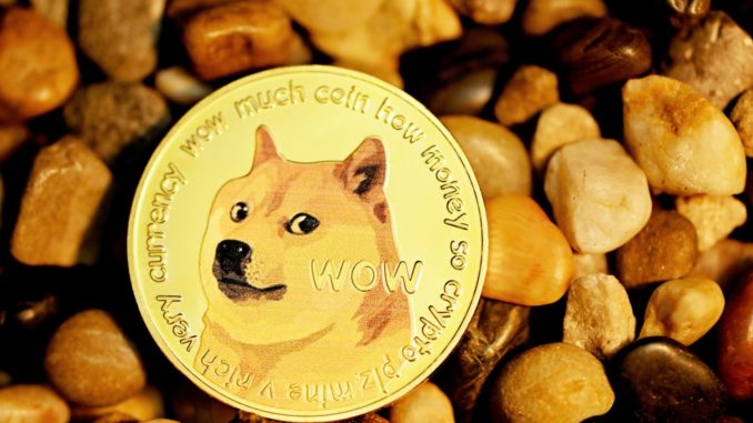 Elon Tweets Video Explaining Everything About Dogecoin