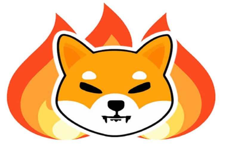 shiba-inu-burn.jpg