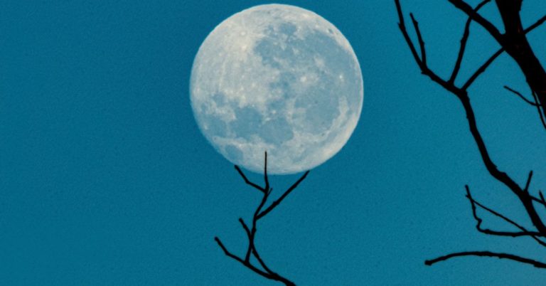 New Terra Blockchain Launch Expected Saturday, With LUNA Airdrop to