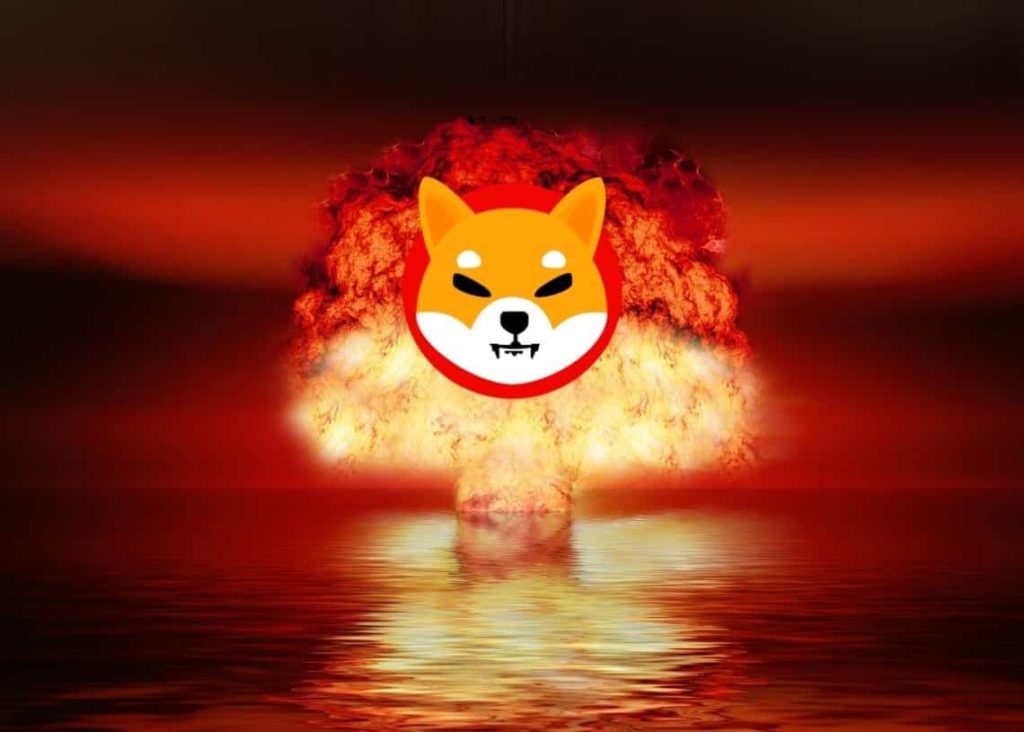 Shiba-Inu2.jpg