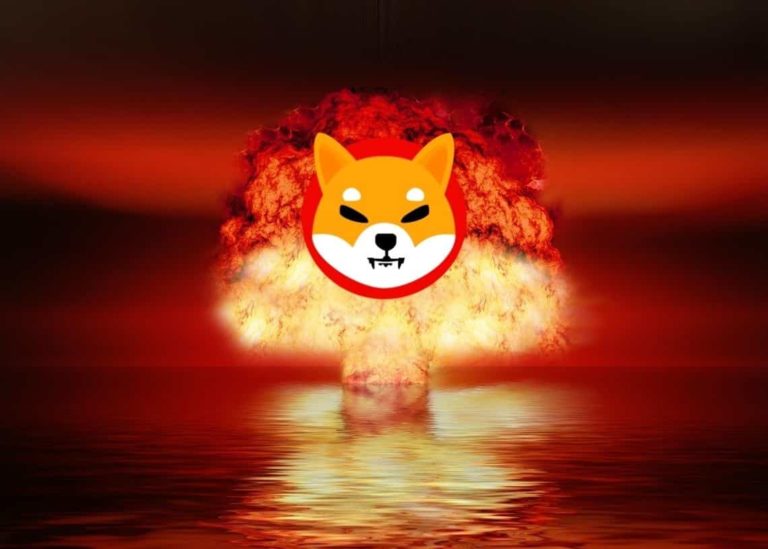 Shiba-Inu2.jpg