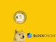 Where to Buy Dogecoin (DOGE) Crypto (& How To): Guide