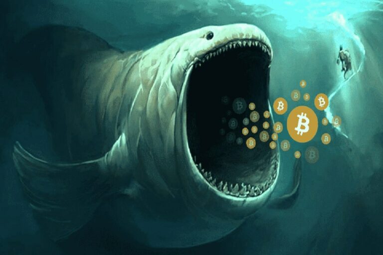 crypto-whale.jpg