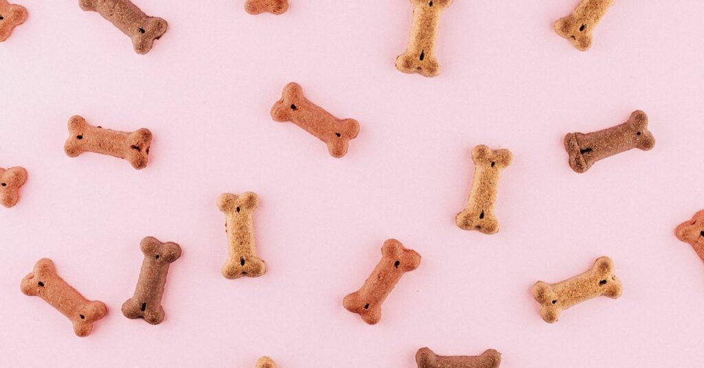 Dogecoin Led the Pack Among Cryptocurrencies in October With 17