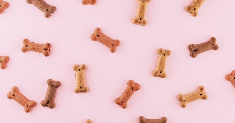 Dogecoin Led the Pack Among Cryptocurrencies in October With 17
