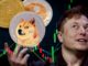 never tweet how elon musk is ruining the promise of crypto pd62