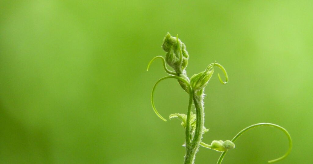 Regenerative Finance Brings Sustainability to Crypto – Crypto 2023