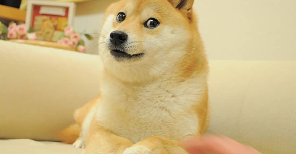 Shiba Inu Layer 2 Blockchain Shibarium to Release Beta Version