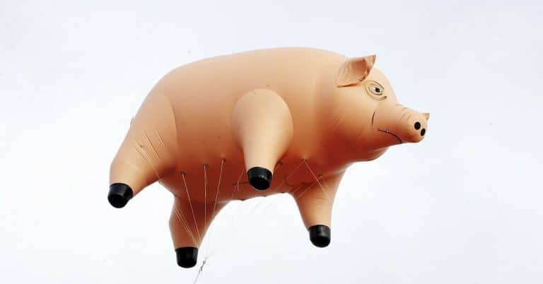 CFTC Charges Man With Fraud in ‘Pig Butchering’ Crypto Romance