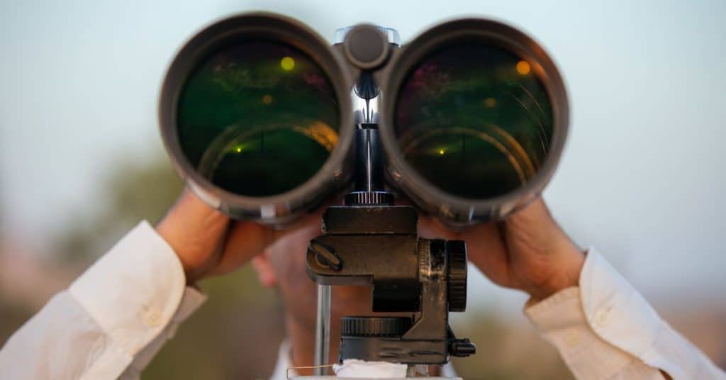 Observations and Anticipation in the Crypto ETF Market